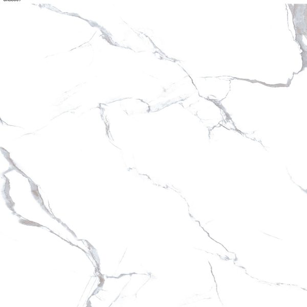 Mosaico 60×60 cm KING CA66009